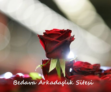 En çok arkadaş bulduran site
